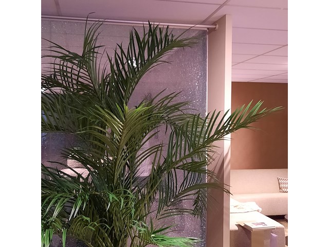 Kunstplant in pot colours&green, areca palm - afbeelding 4 van  6