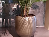 Kunstplant in pot colours&green, areca palm - afbeelding 5 van  6