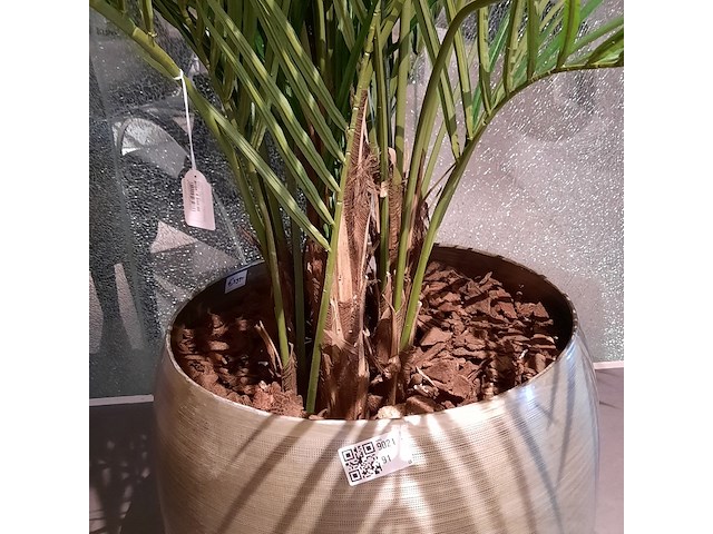 Kunstplant in pot colours&green, areca palm - afbeelding 6 van  6