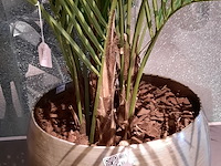 Kunstplant in pot colours&green, areca palm - afbeelding 6 van  6