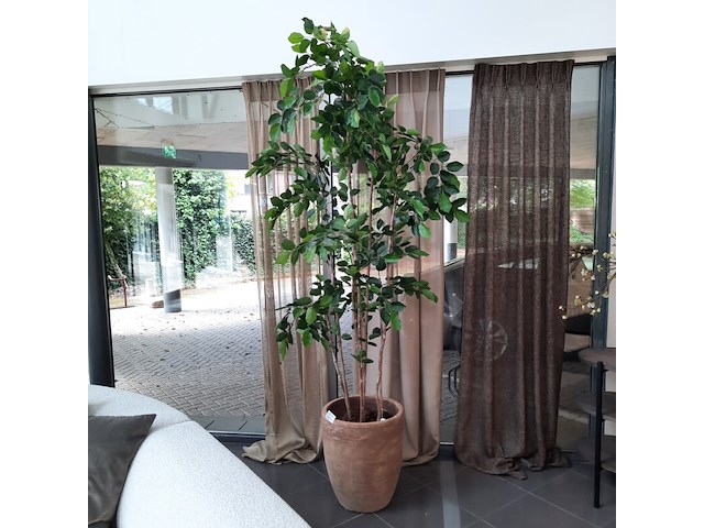 Kunstplant in pot colours&green, beach tree - afbeelding 1 van  7