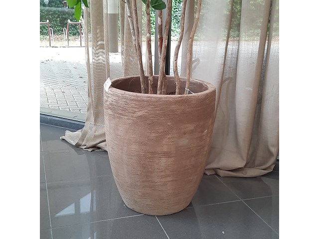 Kunstplant in pot colours&green, beach tree - afbeelding 5 van  7