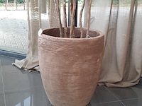 Kunstplant in pot colours&green, beach tree - afbeelding 5 van  7