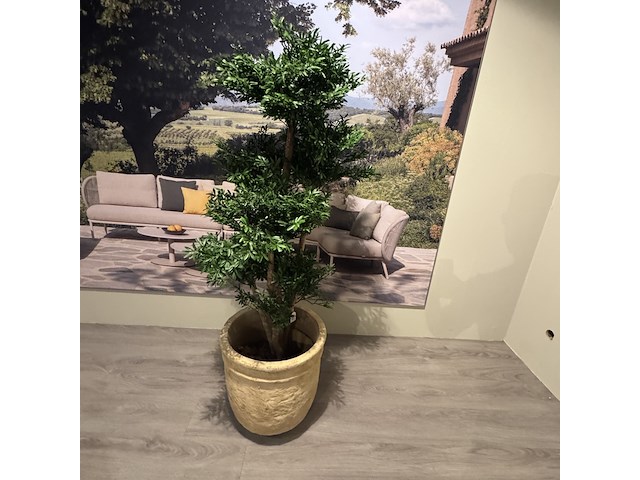 Kunstplant in pot colours&green, black wiliw tree - afbeelding 1 van  5