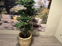 Kunstplant in pot colours&green, black wiliw tree - afbeelding 1 van  5