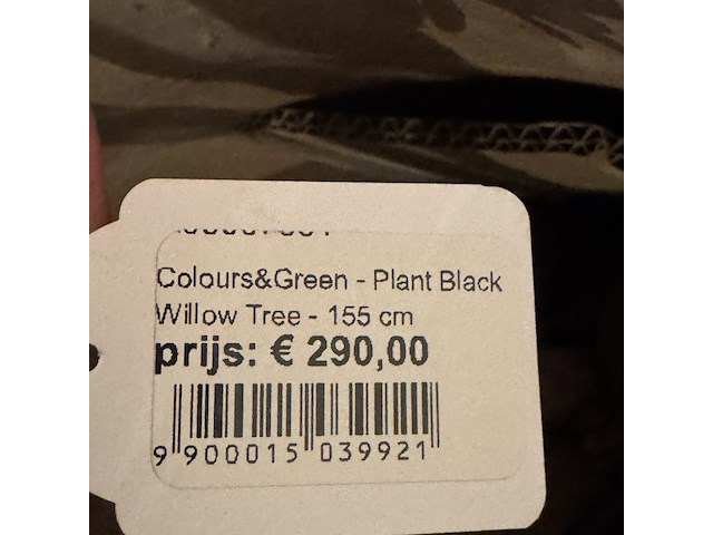 Kunstplant in pot colours&green, black wiliw tree - afbeelding 3 van  5