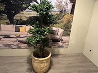 Kunstplant in pot colours&green, black wiliw tree - afbeelding 4 van  5