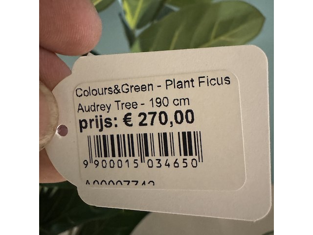 Kunstplant in pot colours&green, ficus audrey tree - afbeelding 4 van  6