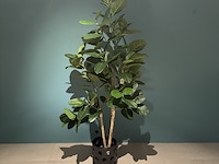 Kunstplant in pot colours&green, ficus audrey tree - afbeelding 5 van  6