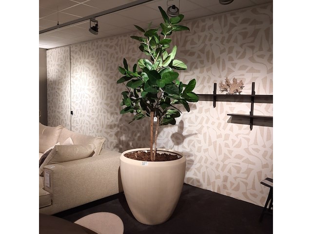 Kunstplant in pot colours&green, fiddle leaf tree - afbeelding 1 van  7