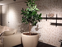 Kunstplant in pot colours&green, fiddle leaf tree - afbeelding 1 van  7