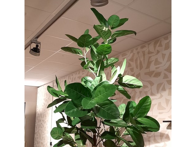 Kunstplant in pot colours&green, fiddle leaf tree - afbeelding 3 van  7