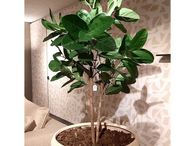Kunstplant in pot colours&green, fiddle leaf tree - afbeelding 4 van  7