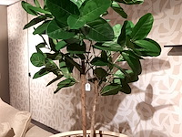Kunstplant in pot colours&green, fiddle leaf tree - afbeelding 4 van  7