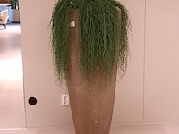 Kunstplant in pot colours&green, hangplant - afbeelding 1 van  4