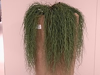 Kunstplant in pot colours&green, hangplant - afbeelding 3 van  4
