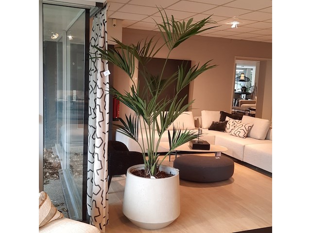 Kunstplant in pot colours&green, kentia palm - afbeelding 1 van  7