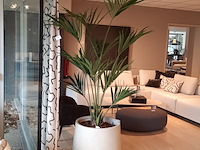 Kunstplant in pot colours&green, kentia palm - afbeelding 1 van  7