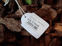 Kunstplant in pot colours&green, kentia palm - afbeelding 2 van  7
