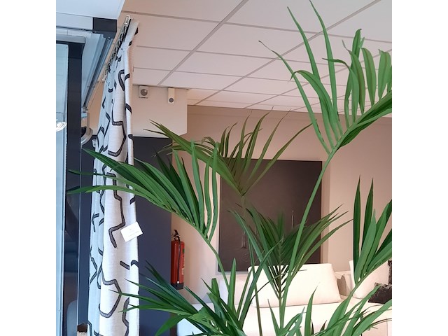 Kunstplant in pot colours&green, kentia palm - afbeelding 3 van  7