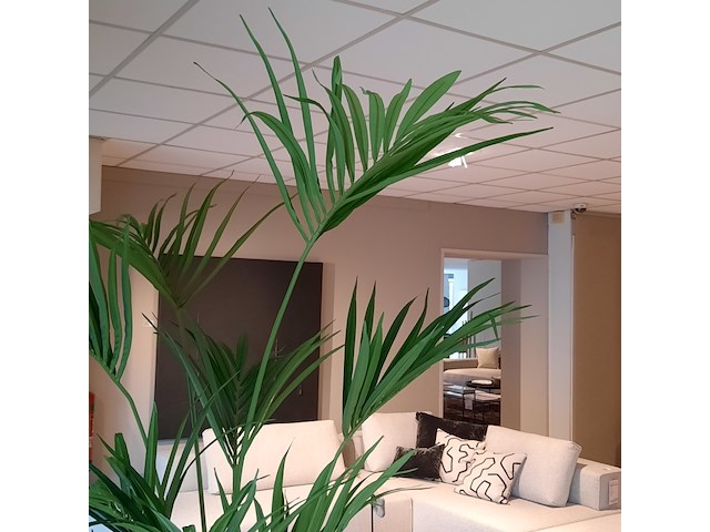 Kunstplant in pot colours&green, kentia palm - afbeelding 4 van  7