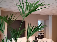 Kunstplant in pot colours&green, kentia palm - afbeelding 4 van  7