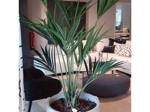 Kunstplant in pot colours&green, kentia palm - afbeelding 5 van  7