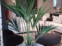 Kunstplant in pot colours&green, kentia palm - afbeelding 5 van  7