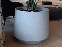 Kunstplant in pot colours&green, kentia palm - afbeelding 6 van  7