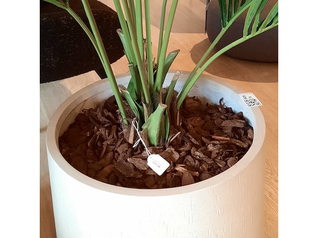 Kunstplant in pot colours&green, kentia palm - afbeelding 7 van  7