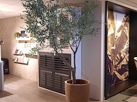 Kunstplant in pot colours&green, olive tree53x260cm - afbeelding 1 van  7