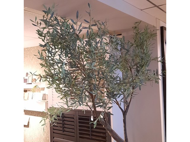 Kunstplant in pot colours&green, olive tree53x260cm - afbeelding 3 van  7
