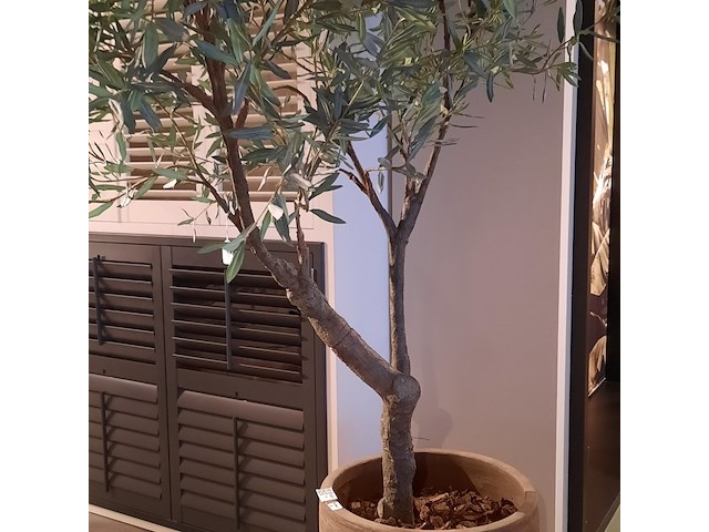 Kunstplant in pot colours&green, olive tree53x260cm - afbeelding 4 van  7