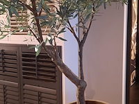 Kunstplant in pot colours&green, olive tree53x260cm - afbeelding 4 van  7
