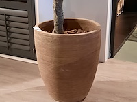 Kunstplant in pot colours&green, olive tree53x260cm - afbeelding 5 van  7