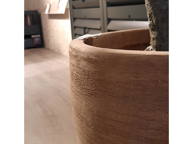 Kunstplant in pot colours&green, olive tree53x260cm - afbeelding 7 van  7