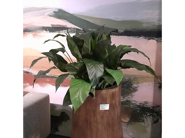 Kunstplant in pot colours&green, spathiphyllum - afbeelding 3 van  4