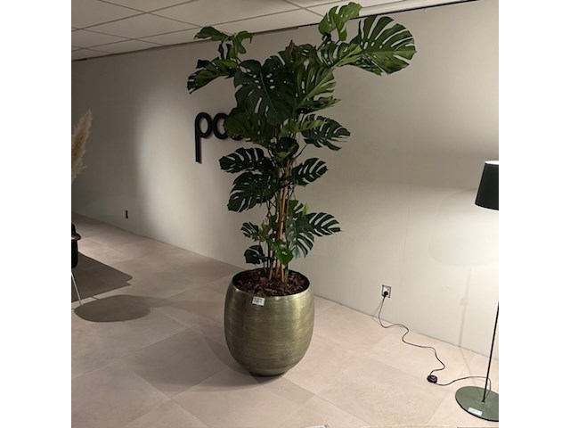 Kunstplant in pot colours&green, split philo - afbeelding 1 van  4