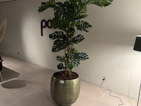 Kunstplant in pot colours&green, split philo - afbeelding 1 van  4