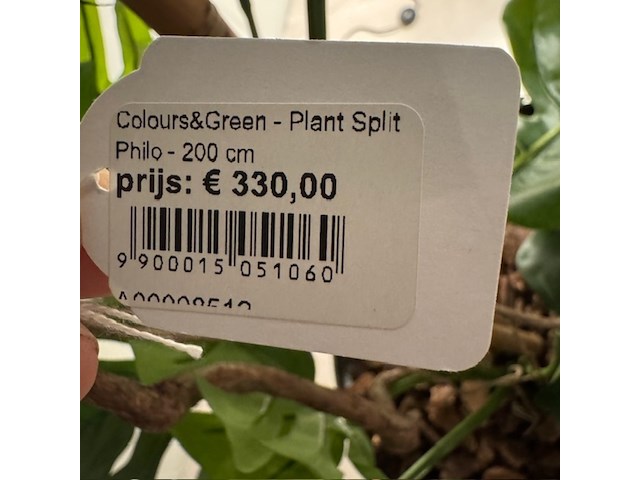 Kunstplant in pot colours&green, split philo - afbeelding 2 van  4