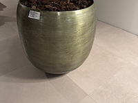Kunstplant in pot colours&green, split philo - afbeelding 3 van  4