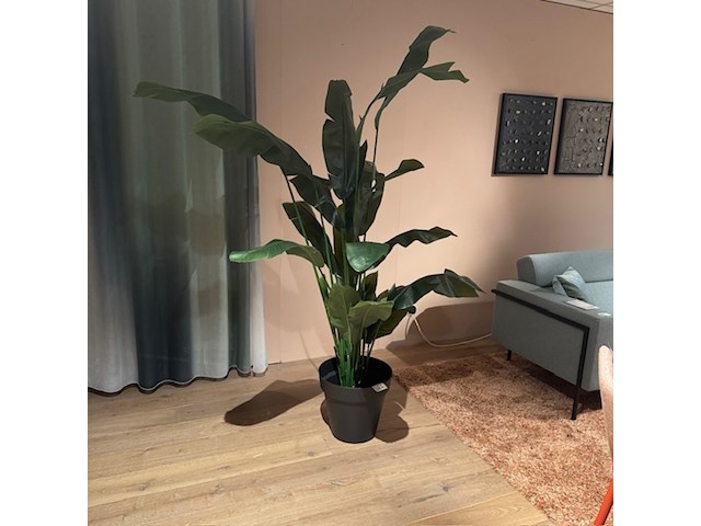 Kunstplant in pot colours&green, strelitzia - afbeelding 1 van  4