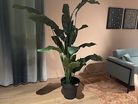 Kunstplant in pot colours&green, strelitzia - afbeelding 1 van  4