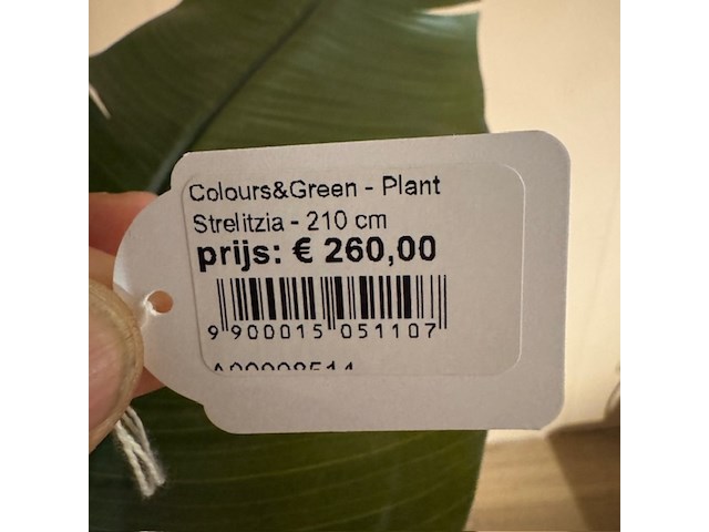 Kunstplant in pot colours&green, strelitzia - afbeelding 2 van  4