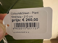 Kunstplant in pot colours&green, strelitzia - afbeelding 2 van  4