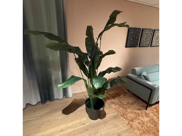 Kunstplant in pot colours&green, strelitzia - afbeelding 3 van  4