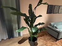 Kunstplant in pot colours&green, strelitzia - afbeelding 3 van  4
