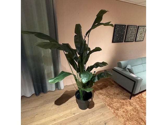 Kunstplant in pot colours&green, strelitzia - afbeelding 4 van  4