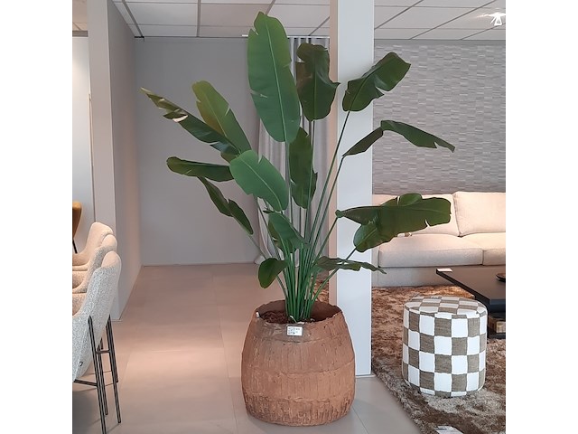 Kunstplant in pot colours&green, strelizia - afbeelding 1 van  6