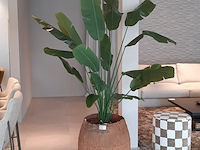 Kunstplant in pot colours&green, strelizia - afbeelding 1 van  6